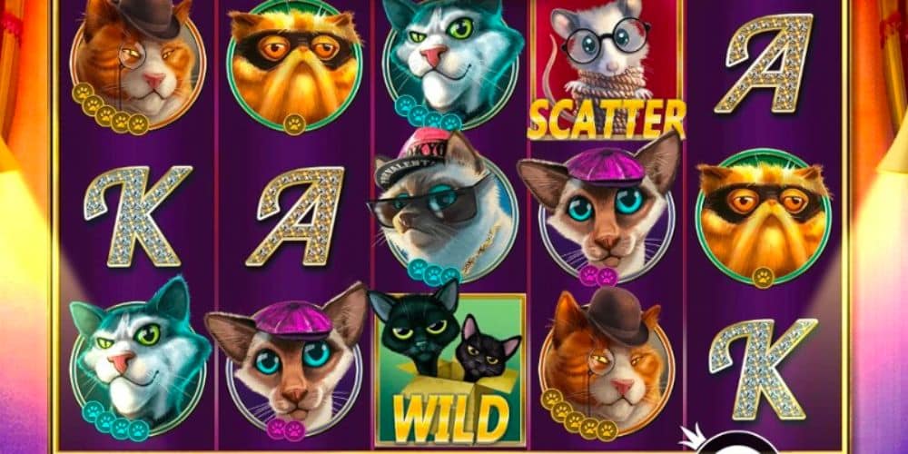 The Catfather Megaways vo Wildtornado 