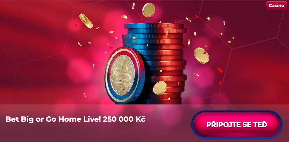 BET BIG OR GO HOME LIVE! viperwin casino